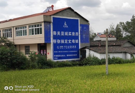  鹿邑决定墙体广告价格的因素有哪些？