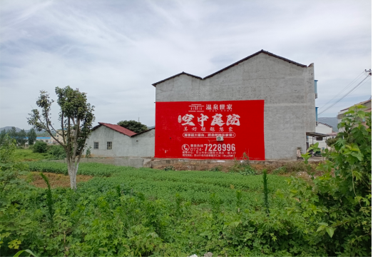  鹿邑做墙体广告的意义