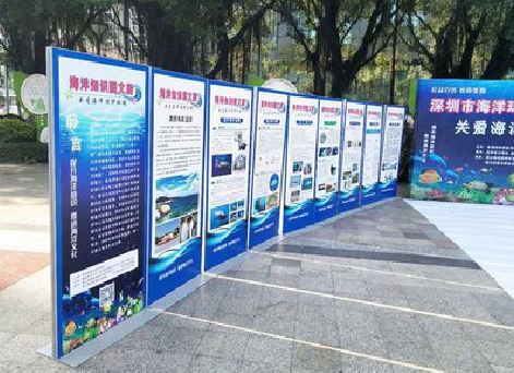  鹿邑KT板的种类和知识。